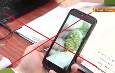 Cần sa ẩn mình dưới vỏ bọc thực phẩm, bánh kẹo