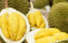 Giá sầu riêng tăng mạnh