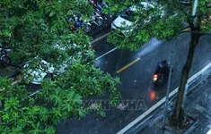 Thời tiết đêm 25/3: Nhiều khu vực có mưa dông