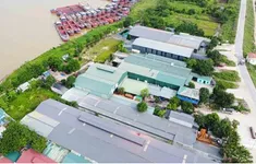 Hà Nội được yêu cầu xử lý loạt vi phạm ngoài đê sông Hồng