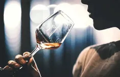 Thói quen uống rượu ngâm cao trăn gây rối loạn cương nặng