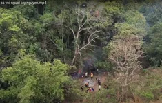 Rừng là sự sống của người Tây Nguyên