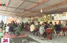 Nhiều công dân Việt Nam sau khi được giải cứu lại tiếp tục sang Campuchia