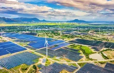 Chuyển đổi xanh: Cuộc đua “tiếp sức” của toàn nền kinh tế