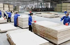 Cân bằng lợi ích ngành gỗ Việt Nam - Hoa Kỳ