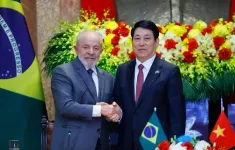 Việt Nam-Brazil thúc đẩy mở rộng hợp tác, trao đổi kinh nghiệm những lĩnh vực có thể bổ trợ cho nhau