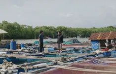 Mẹ biển - Tập 28: Nhận ra con trai, Đại liền đuổi Quân khỏi bè cá