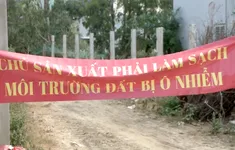Bình Định đề nghị chấm dứt hoạt động xưởng chế biến mực tẩm gây ô nhiễm