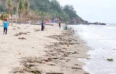 Bãi biển du lịch oằn mình trong rác thải