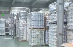Cục An toàn thực phẩm yêu cầu thu hồi 12 sản phẩm sữa bột giả