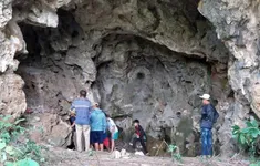 Nghệ An: Phát hiện nhiều bộ xương, hộp sọ nghi của người trong hang đá