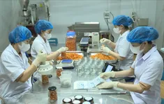 Sở hữu trí tuệ - Chìa khóa bảo vệ sáng tạo của doanh nghiệp