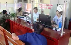 Cơ quan hành chính hoạt động hết công suất
