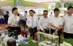 Quảng Bình kết nối cung cầu các sản phẩm nông nghiệp, nông thôn tiêu biểu, sản phẩm OCOP