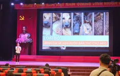 Hướng tới loại bỏ bệnh dại và nạn buôn bán, giết mổ chó mèo tại Việt Nam