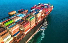 Xuất khẩu vững vàng trước thuế quan