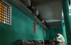 Ngày đặc xá - cơ hội làm lại cuộc đời