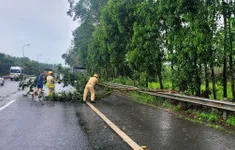 CSGT Hà Nội xử lý nhiều điểm cây đổ sau mưa dông trên Đại lộ Thăng Long