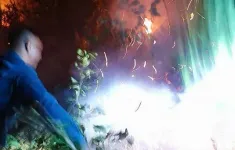 Dập tắt kịp thời vụ cháy rừng thông cạnh cao tốc đi Đà Lạt