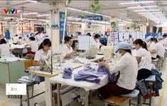 Thách thức đảm bảo an toàn lao động với các hiệp định FTA thế hệ mới