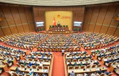Hoàn thiện thể chế để sắp xếp bộ máy