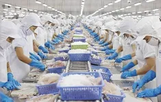 Việt Nam xuất khẩu thủy sản lớn thứ 4 vào Singapore