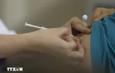 Đưa vào sử dụng mũi tiêm dưới da điều trị 15 loại ung thư