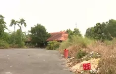Cần Thơ: Nhiều khu đất công bị bỏ hoang