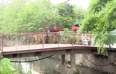 Lo ngại từ những cây cầu tạm, cầu dân sinh xuống cấp tại Hà Nội