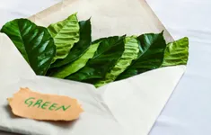 Định nghĩa lại “rác” để tái chế thành giấy