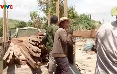 Quảng Trị phấn đấu hoàn thành xóa nhà tạm sớm hơn kế hoạch