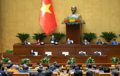 Kỳ họp thứ 9, Quốc hội khóa XV xem xét sửa đổi Hiến pháp và sáp nhập tỉnh