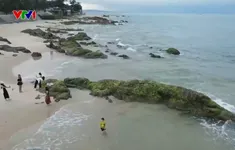 Bình yên bãi rạng thu hút du khách