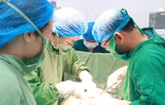 Giữ con qua thai kỳ nguy hiểm vì hội chứng truyền máu song thai