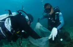 Các hạt vi nhựa tồn tại ở mọi độ sâu trong đại dương