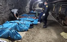 Peru đình chỉ hoạt động khai thác vàng sau vụ 13 bảo vệ mỏ bị hành quyết