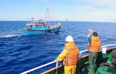 Biên phòng Bà Rịa - Vũng Tàu: Lá chắn thép vùng biển
