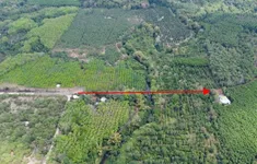 Nghiên cứu, rà soát kỹ phương án đầu tư đường kết nối Bình Phước - Đồng Nai qua cầu Mã Đà
