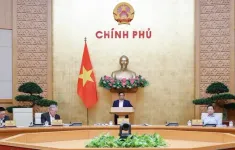 Đề xuất Thủ tướng chỉ định Chủ tịch, Phó Chủ tịch các tỉnh thành sau sáp nhập