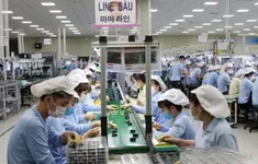 Vốn đầu tư trực tiếp nước ngoài thực hiện cao nhất 5 năm