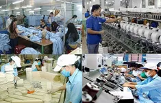 Nâng cao nội lực cho kinh tế tư nhân