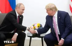 Phản hồi của Điện Kremlin về khả năng Nga - Mỹ gặp thượng đỉnh
