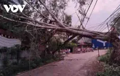 Yên Bái: Giông lốc khiến một người bị thương, 71 ngôi nhà tốc mái