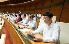Ngày 8/5, Quốc hội thảo luận về dự ấn Luật Hóa chất (sửa đổi)
