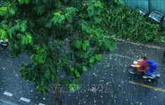 Từ 9-16/5, nhiều hình thái thời tiết nguy hiểm trên các khu vực