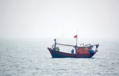 Nhiều tàu cá và ngư dân gặp nạn khi đang hành nghề trên biển