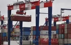 Ấn Độ đề xuất miễn thuế có điều kiện cho một số hàng hóa với Mỹ