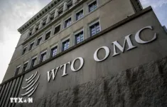 Việt Nam tham gia các phiên họp về phòng vệ thương mại tại WTO