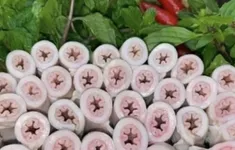 Thành phố Hồ Chí Minh đồng loạt kiểm tra quán kinh doanh lòng xe điếu