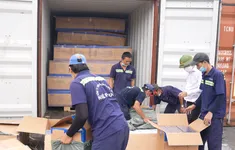 Buôn lậu "núp bóng" hàng xuất khẩu: Thủ đoạn ngày càng tinh vi